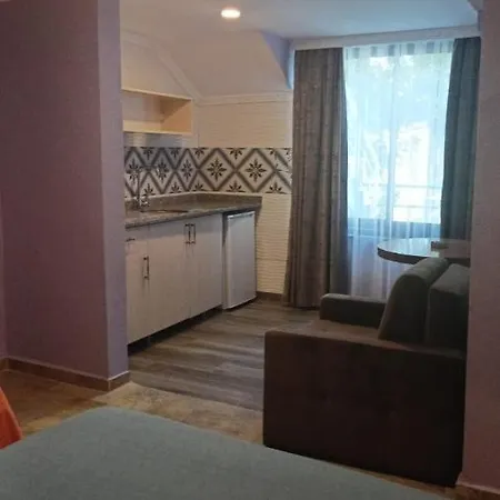 Отель Castle Light Boutique 3*