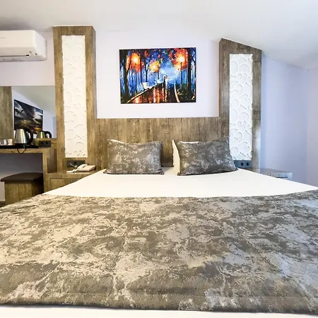 Castle Light Boutique Homestay szállás *