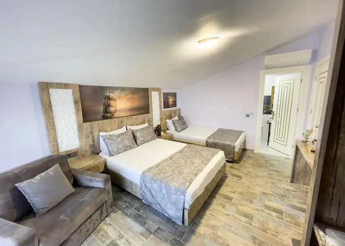 Castle Light Boutique Homestay szállás *