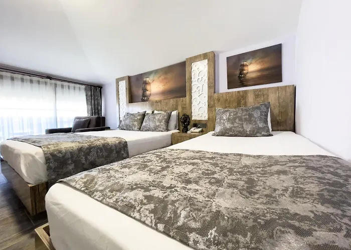 Homestay szállás Castle Light Boutique *