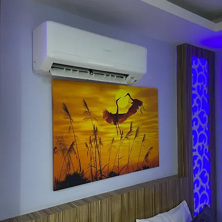 Castle Light Boutique 民宿